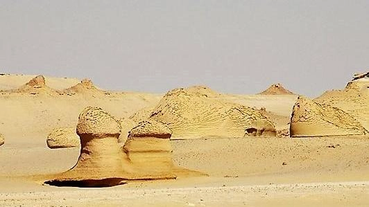 Special shapes of rocks in the old white desert Farafra Egypt travel booking.webp